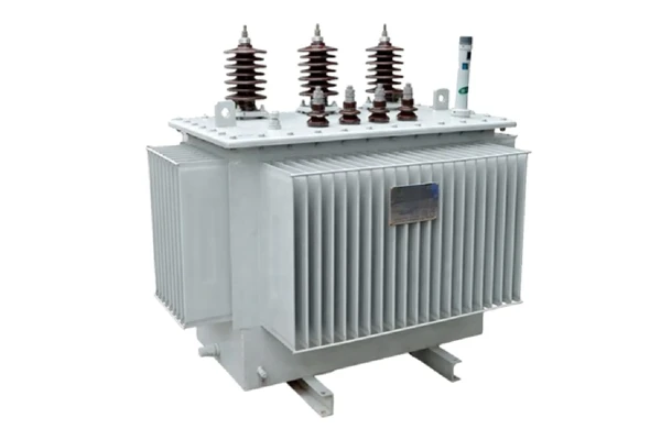 100kVA üç fazlı yağ daldırılmış dağıtım trafosu