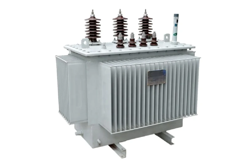 100kVA üç fazlı yağ daldırılmış dağıtım trafosu