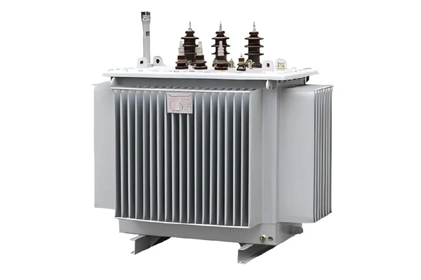 160kVA üç fazlı yağ daldırılmış dağıtım trafosu