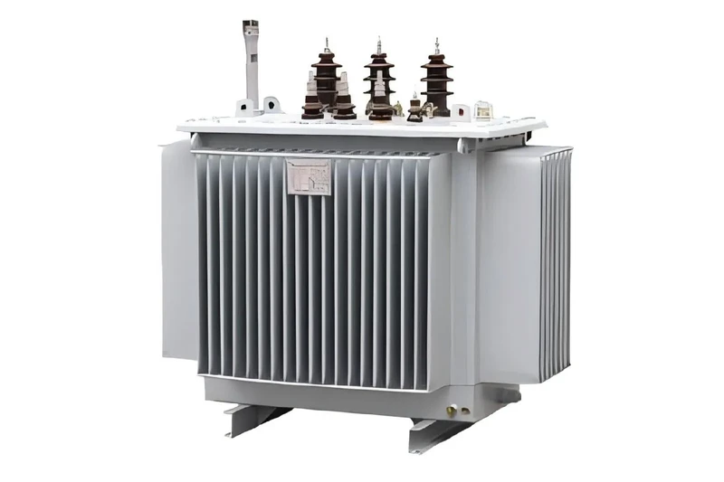 160kVA üç fazlı yağ daldırılmış dağıtım trafosu